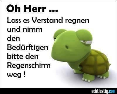 oh-herr-lass-es-verstand-regnen