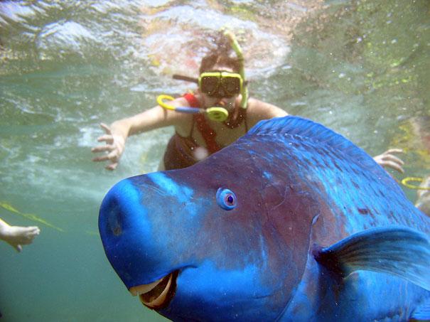 Bilder-Thread strange-animals-you-didnt-know-2-10-2