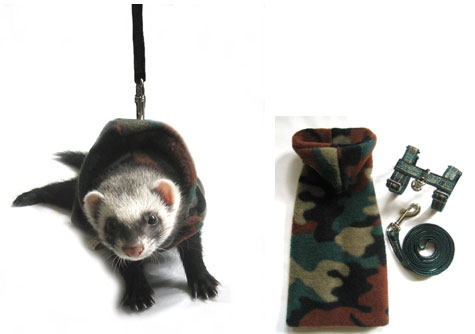 Bilder-Thread ferretcoat