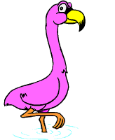 flamingo 0002