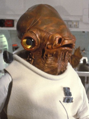 Bilder-Thread Ackbar HS