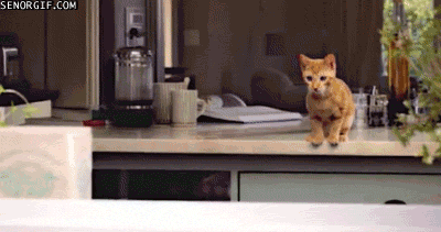 Bilder-Thread tckL1Cu funny-gifs-dont-worry-were-safe-here