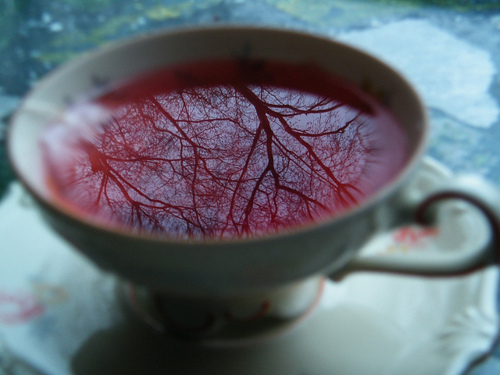 Bilder-Thread tcn2lEK 7387 b287.jpeg
