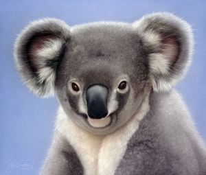 2339-Koalabaer