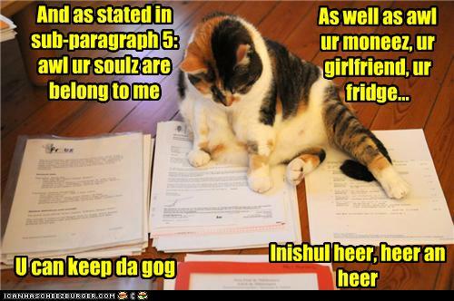 Bilder-Thread tcwUSJ0 funny-pictures-and-as-stated-in-sub-para