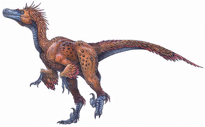 deinonychus antirrhopus