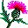 mini-graphics-flowers-944863