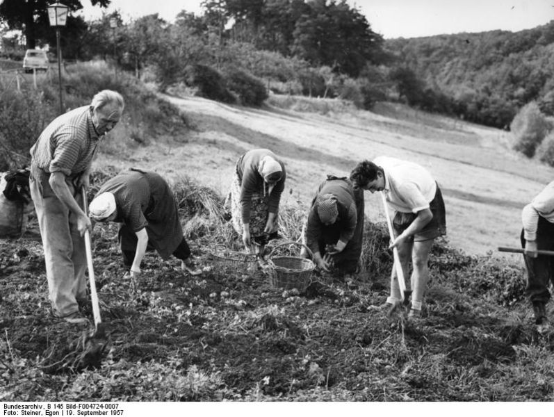 797px Bundesarchiv B 145 Bild F004724 00