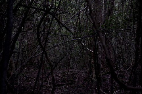 Bilder-Thread tumblr m9incubBZ61qaavj7o1 500