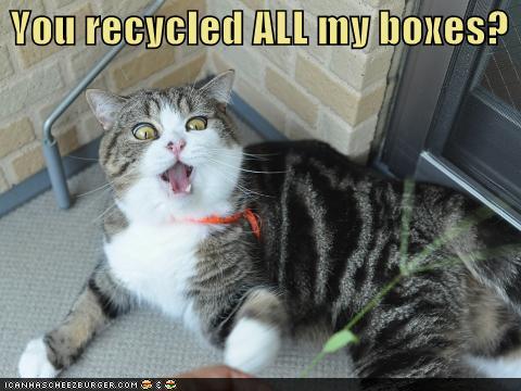 Bilder-Thread td26wZ9 funny-pictures-you-recycled-all-my-boxes