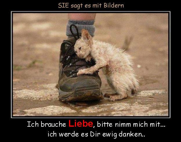 Bilder-Thread e82791 17925 466892800046583 944326961 n