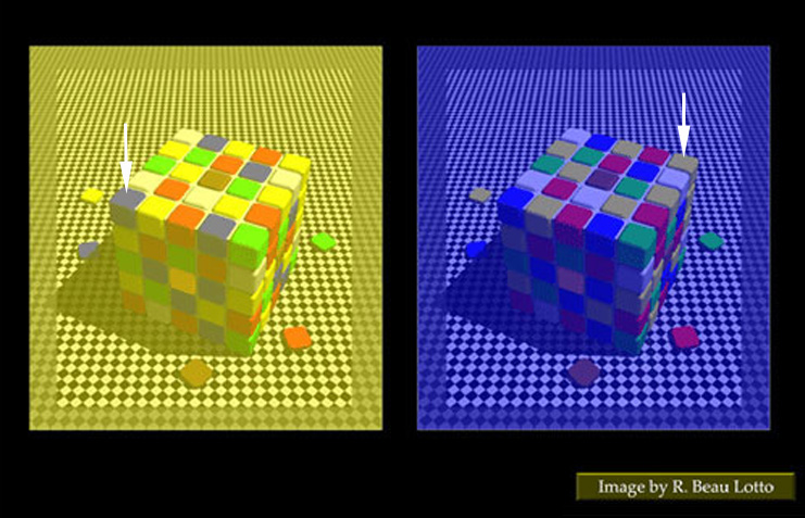 Color illusion cubes2 web