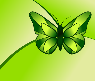 schmetterling front