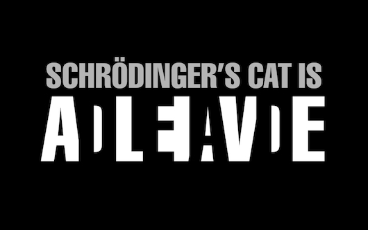 Bilder-Thread katze