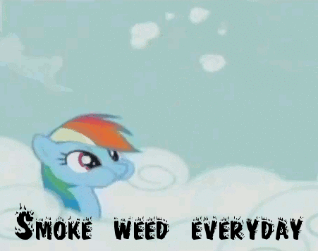 mlfw11331-64775 safe rainbow-dash anima