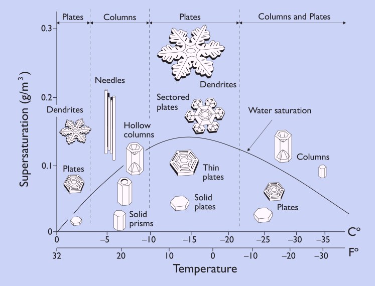 morphologydiagram