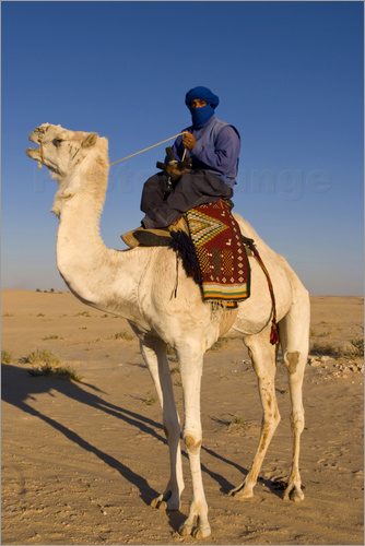 poster-beduine-auf-seinem-kamel-douz-183