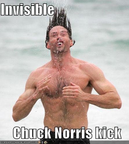 invisible-chuck-Norris-kick