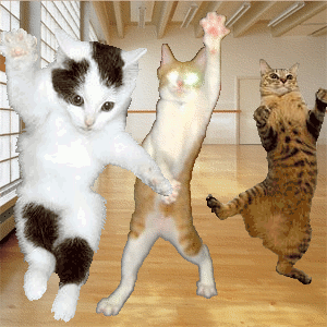 PARTY KATS DANCE