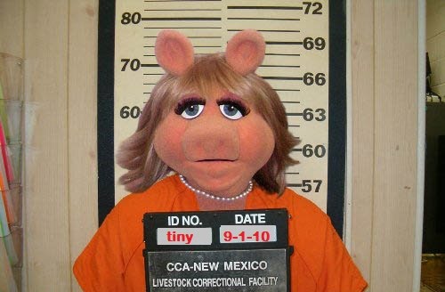 bad-miss-piggy-41323