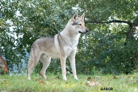 Bilder-Thread 6187-0-280x280