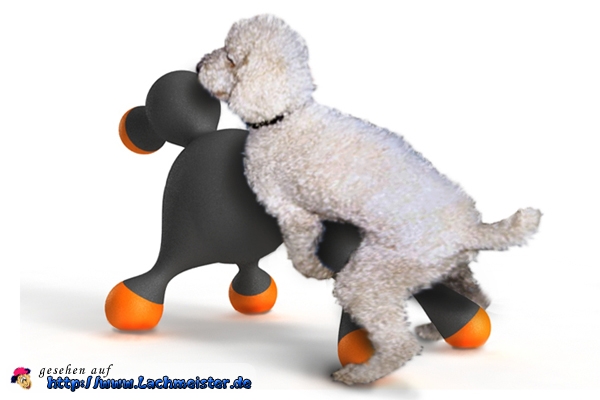 Bilder-Thread gummipuppe fuer hunde a248827