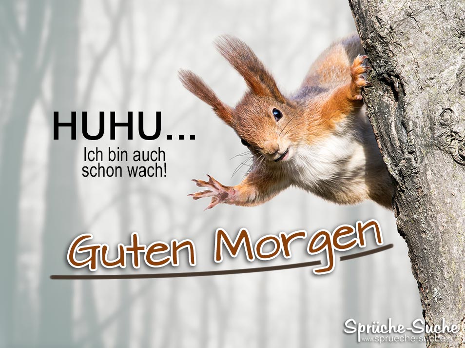 guten-morgen-sprueche-mit-eichhoernchen