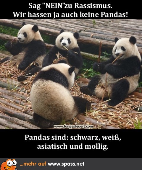 nein-zu-rassismus-pandas-480x536