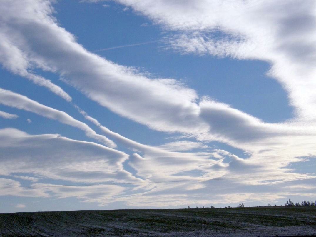 altocumulus