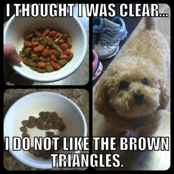 Bilder-Thread Funny-Pics-06.06.2012-18