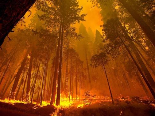 Bilder-Thread Neue-Windboeen-beschleunigen-Waldbrand-i