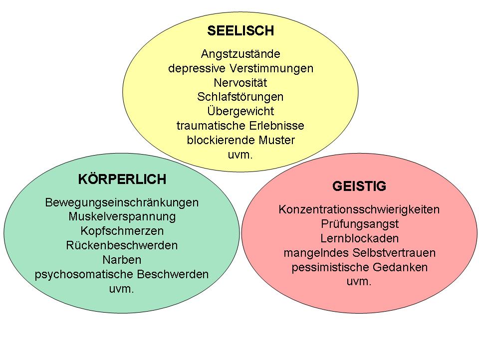 Grafik K  rper Geist Seele