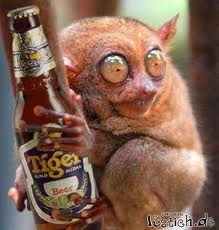 Bilder-Thread 6ee579 bier3
