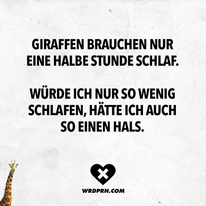 spruch-giraffen-halbe-stunde-schlaf-870x