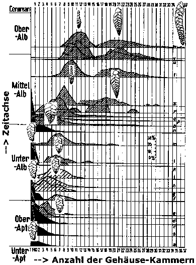 projekte kreationisten 06