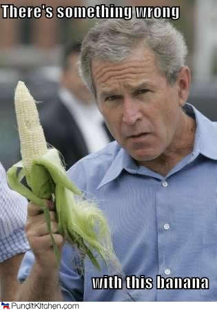 political-pictures-george-bush-something