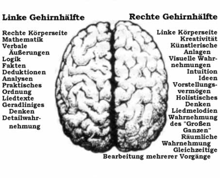 hemisphaerenmodell-linke-und-rechte-ghir