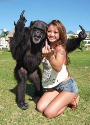 hot-chick-and-crazy-monkey