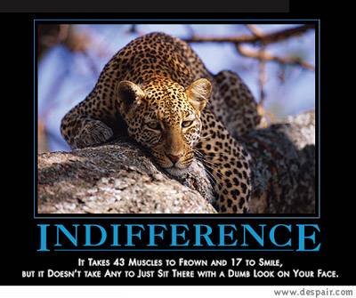 Bilder-Thread tdMtrG7 Demotivation04