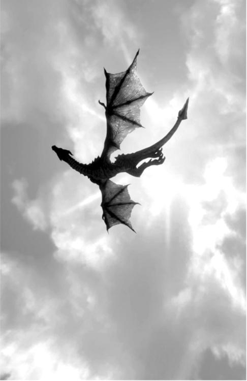 Bilder-Thread ecb6ae tumblr mbxrtujOD51r45q86o1 500