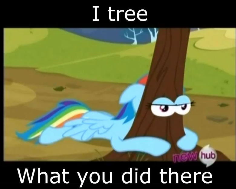 1011034 safe rainbow dash tree i see wha