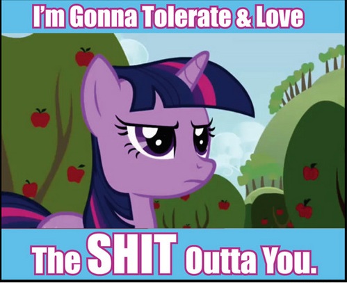 i-will-tolerate-and-love-the-shit-out-of