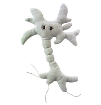 giantmicrobes-brain-cell 01