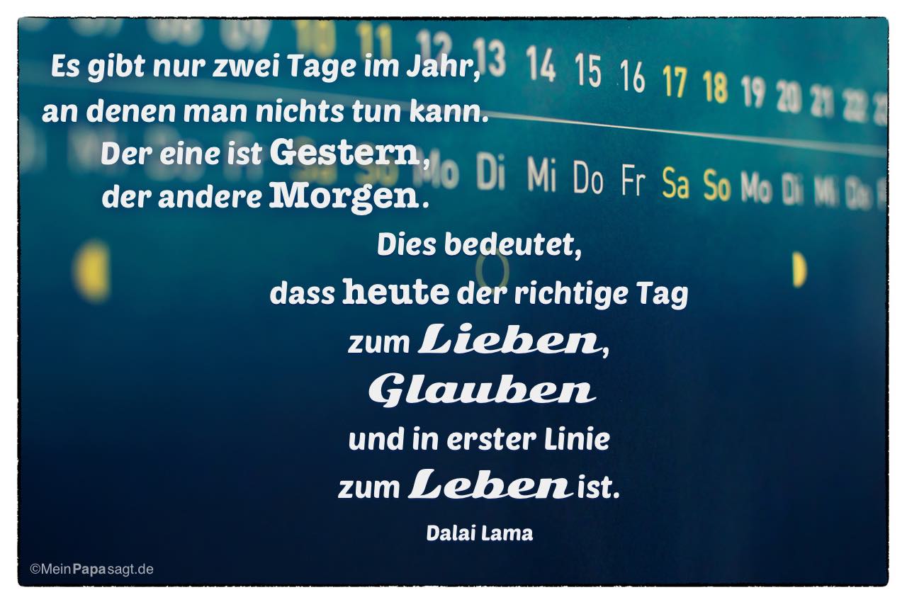 tdd80e1d es gibt nur zwei tage im jahr dalai lama