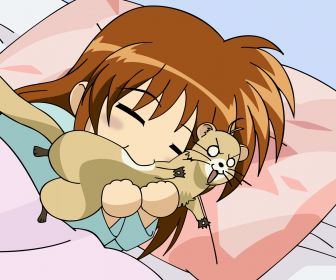 nanoha konachan com ferret magical girl 