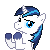 clapping pony icon   shining armor by ta