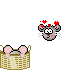 qdhftvviypw8a7szr
