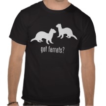 ferrets shirts-r2fac389859e24f31995cdcaf