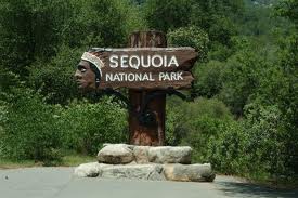 4a484a sequioa national park