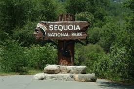 4a484a sequioa national park